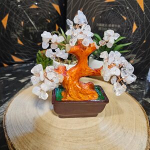 Bonsai z krištáľu