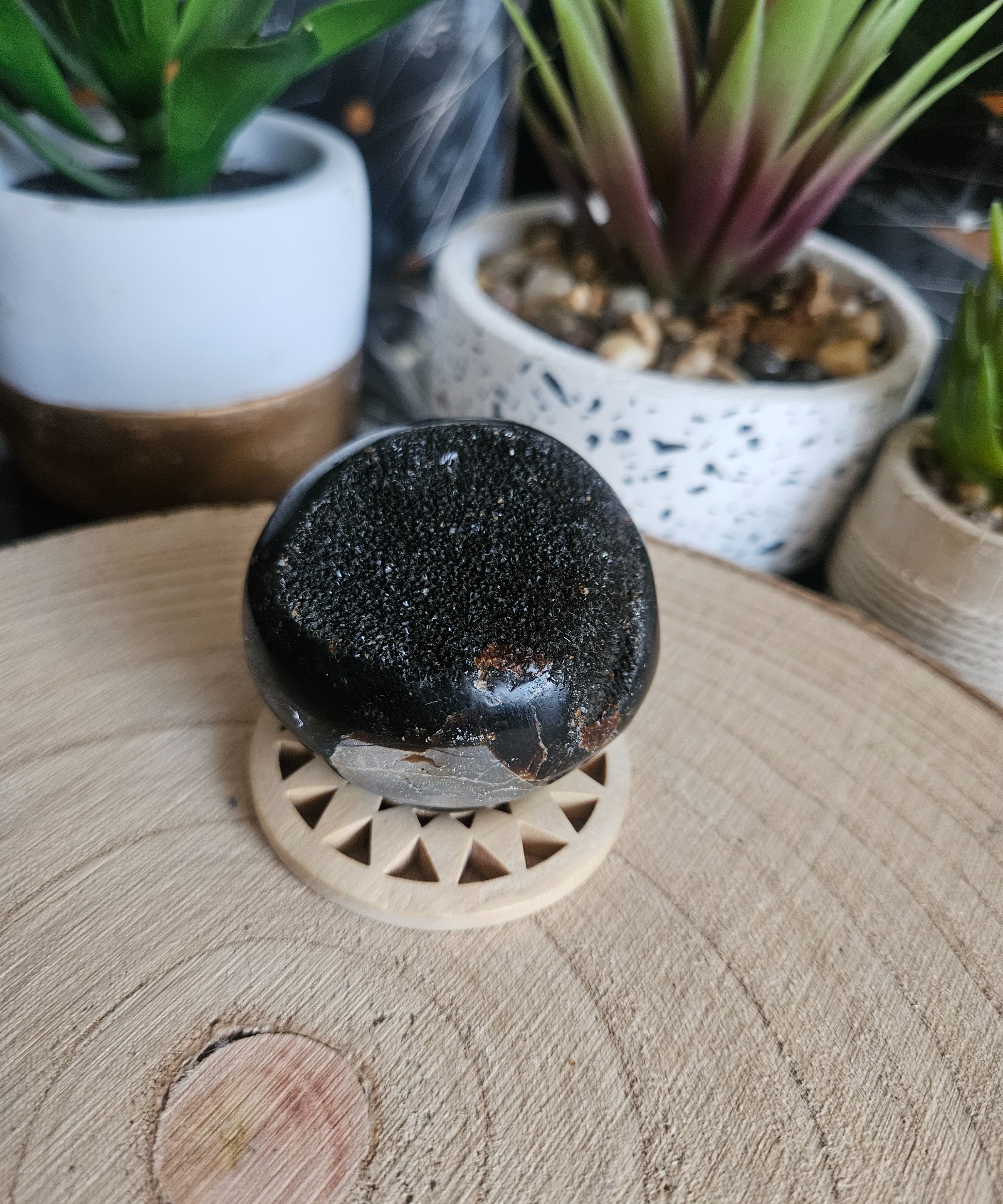 Septária-Dračie vajce