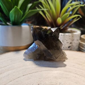 Generátor/Drúza Záhneda "40"