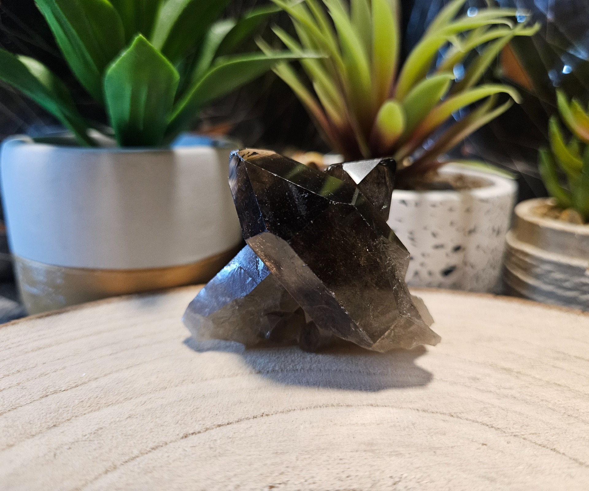 Generátor/Drúza Záhneda "40"