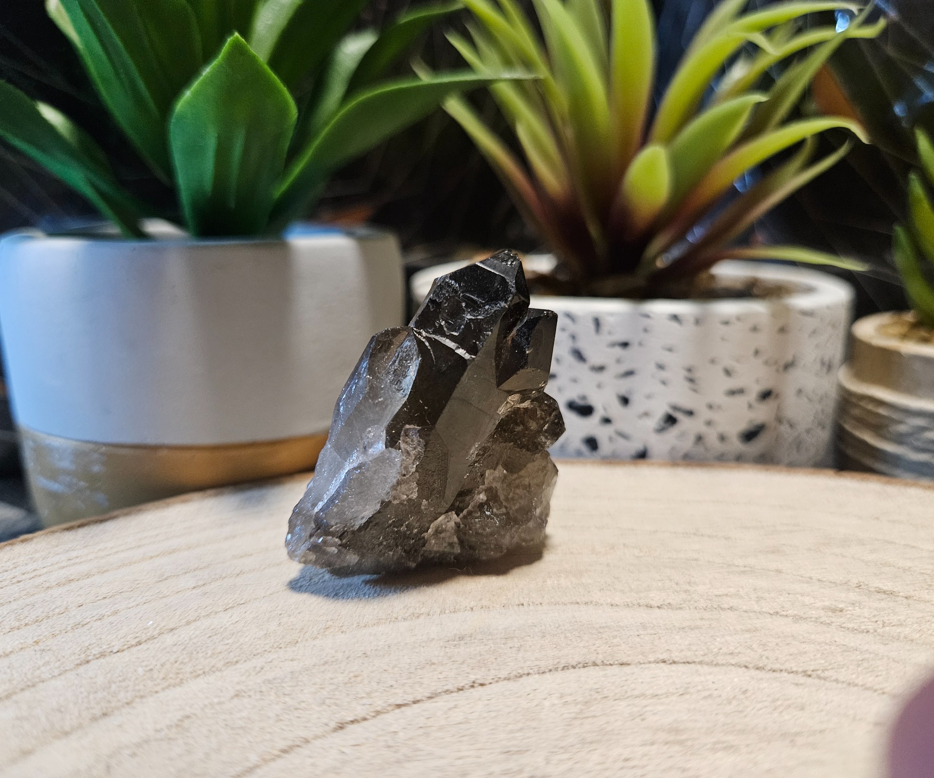 Generátor/Drúza Záhneda "40" - Image 2