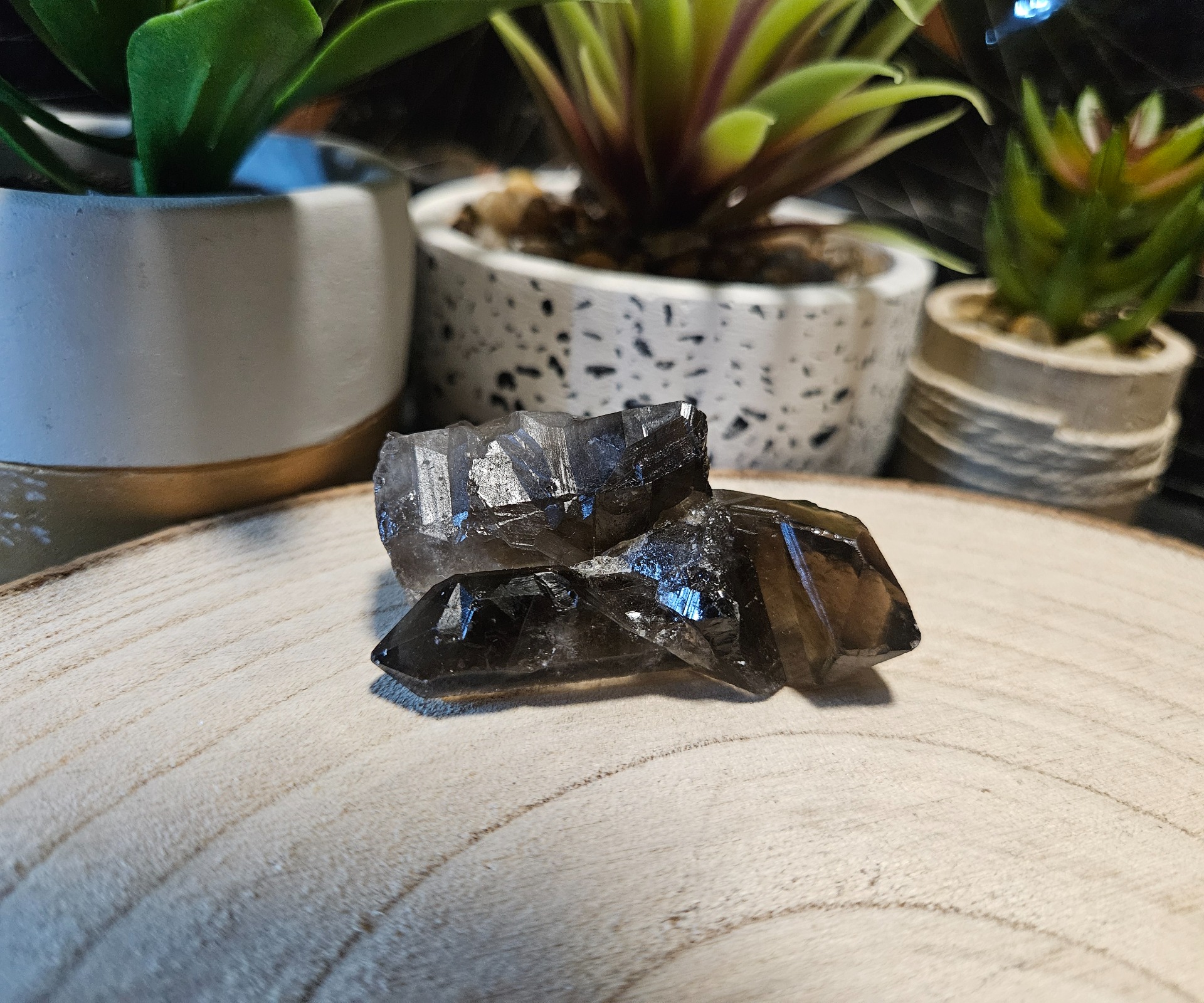 Generátor/Drúza Záhneda "60"