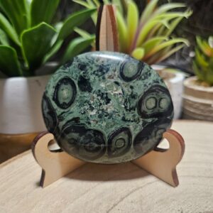 Chmatka Kambaba "82"