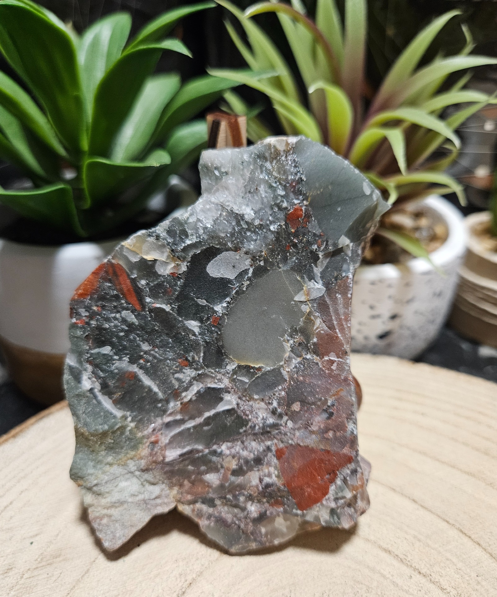 SUROVÝ HELIOTROP "212"– PRAVEKÁ SILA ODVAHY A VITALITY