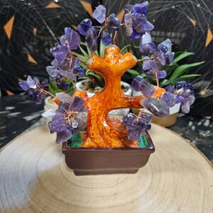 Imperial Ametyst Bonsai v keramickom kaspó 12cm