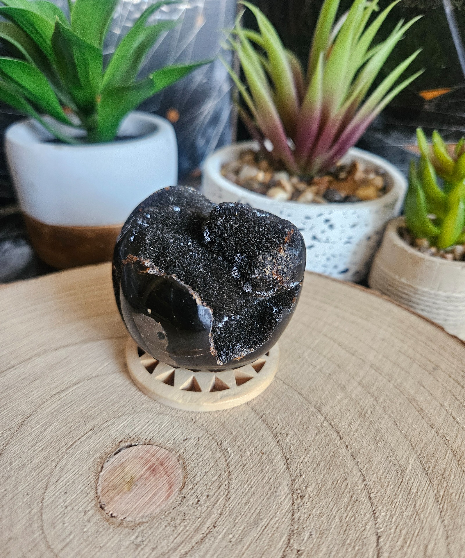 Imperial Septaria Dragon Egg - prírodné dračie vajce z Madagaskaru 218g