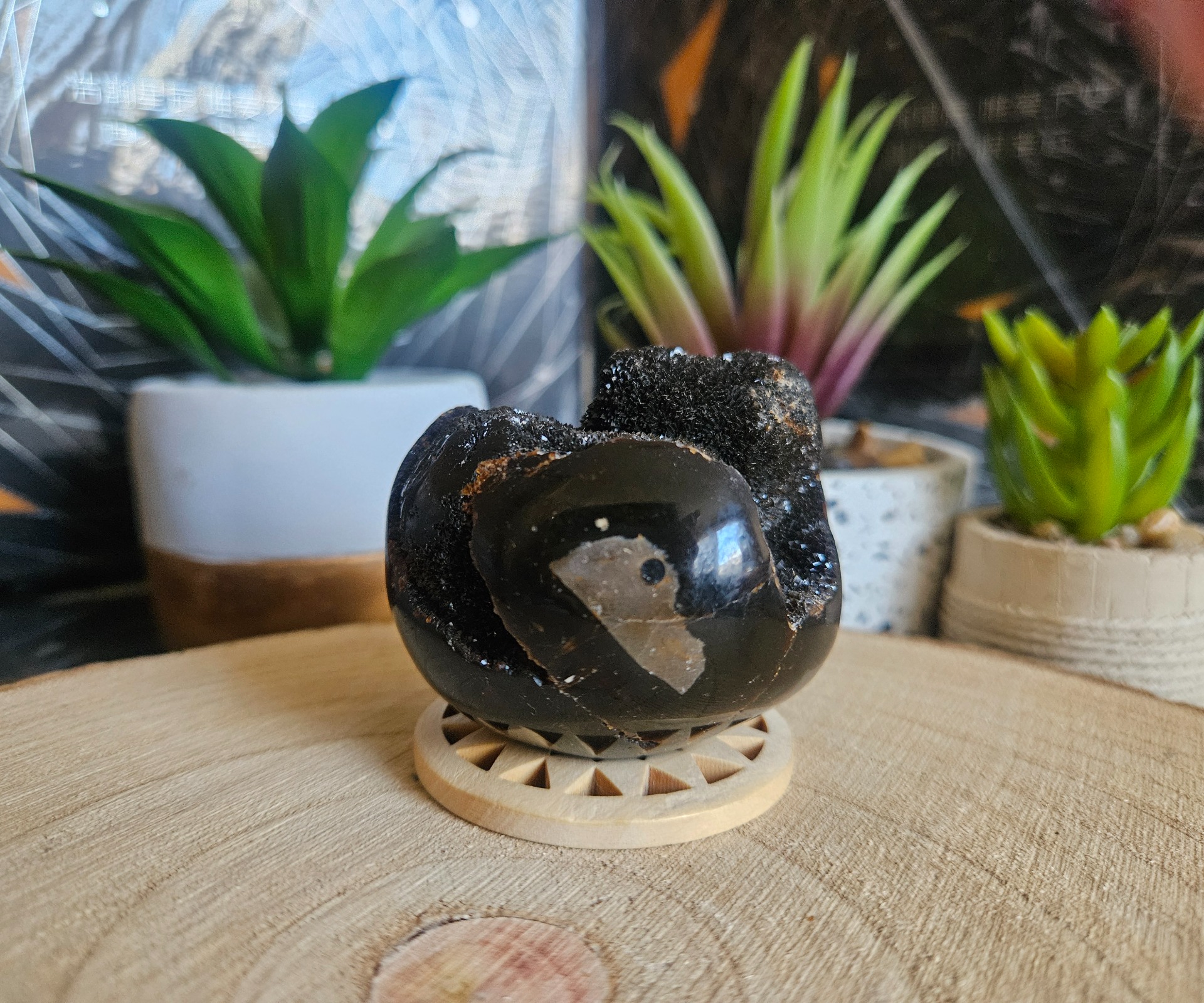 Imperial Septaria Dragon Egg – Prastarý strážca múdrosti-218g - Image 2