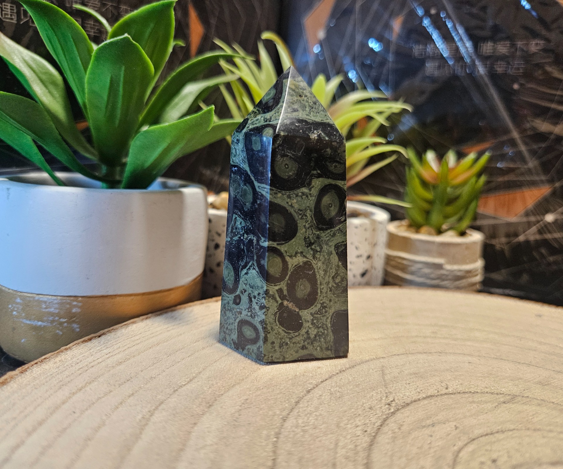 Imperial Kambaba Jasper Peace Generator jaspis Kambaba generator spic rituálne minerály 160g