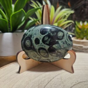 Imperial Kambaba Jasper Peace Palm Stone jaspis Kambaba hmatka zberatelske mineraly 102g