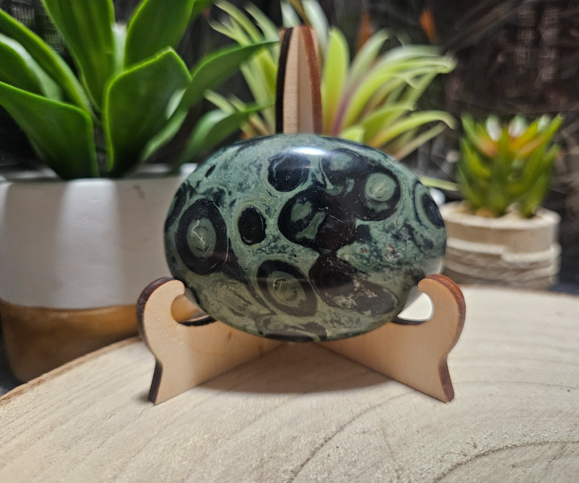 Imperial Kambaba Jasper Peace Palm Stone jaspis Kambaba hmatka zberatelske mineraly 102g