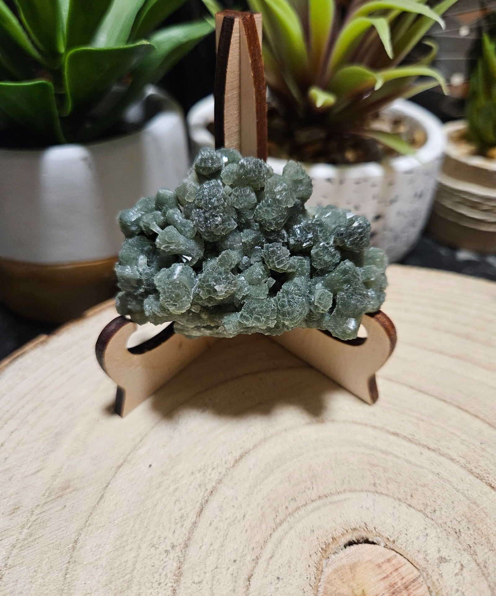 Imperial Prehnite Sanctuary 79 surovy kamen prehnit pre vnutorny pokoj a feng-shui